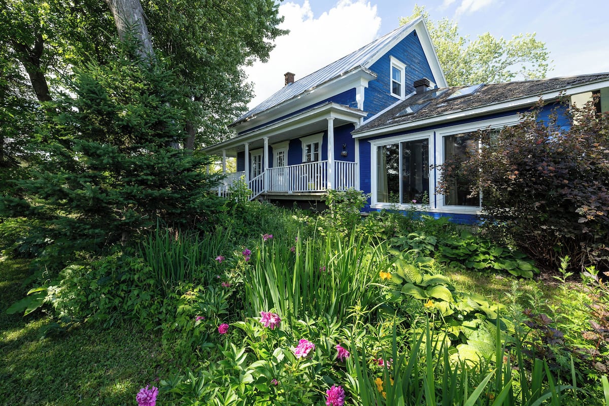 Comfort House | Garden view