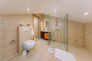 Suihku, hiustenkuivaaja, pyyhkeet, sampoo