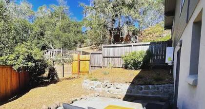 Luxe modern Lagunitas studio at Samuel P Taylor