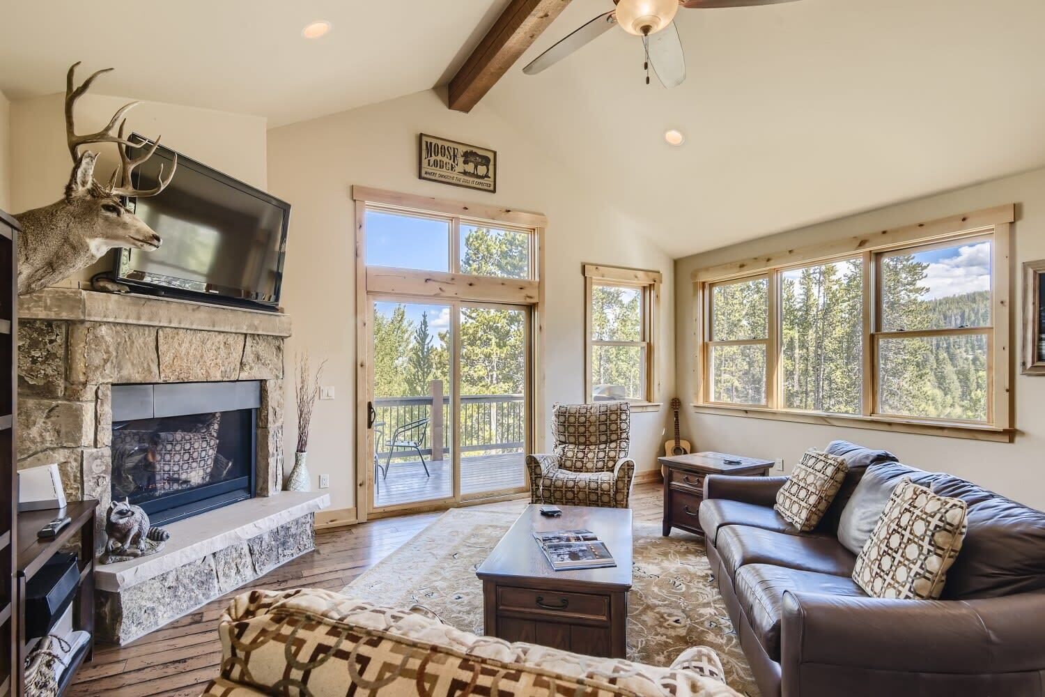 TV, fireplace, DVD player