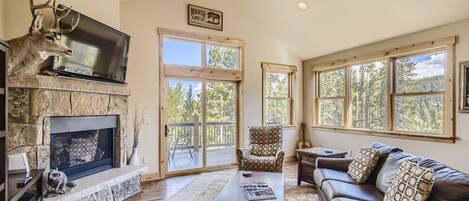 Televisión, chimenea, reproductor de DVD