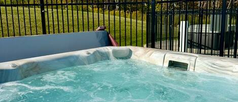 A hot tub with a black metal fence and trees in the background.