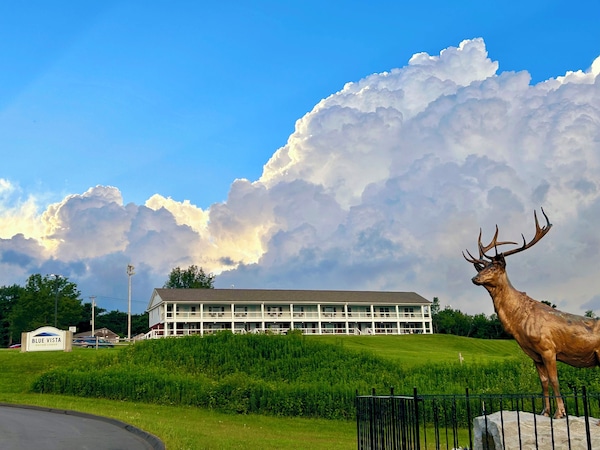 Blue Vista Motor Lodge - Berkshires, MA