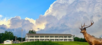 Blue Vista Motor Lodge