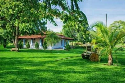 Rustic Farm with Pool Near Curvelo 