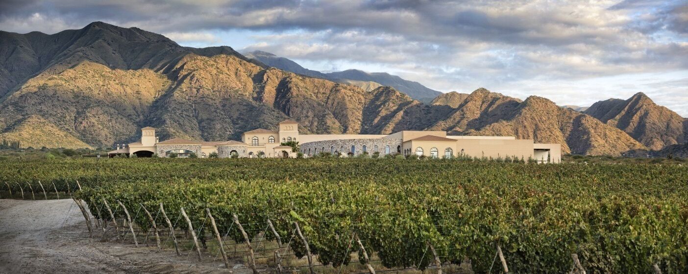 Un vignoble avec des rangées de vignes et un bâtiment doté d’une grande entrée en arc de cercle.