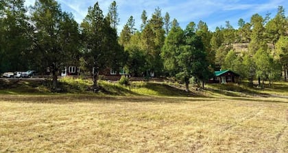Tranquil escape nestled in the forest on a beautiful horse ranch.
