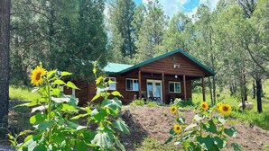 Una cabaña de madera con techo verde, rodeada de árboles y girasoles.