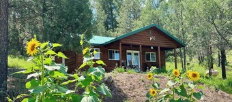 Tranquil escape nestled in the forest on a beautiful horse ranch.