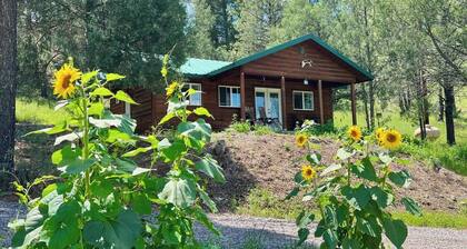 Tranquil escape nestled in the forest on a beautiful horse ranch.