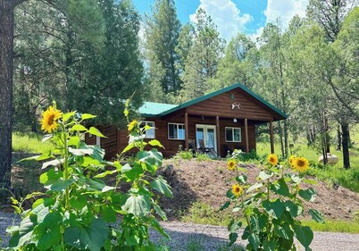 Tranquil escape nestled in the forest on a beautiful horse ranch.