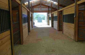 Horses are stabled in this rustic structure with individual stalls and a covered roof.