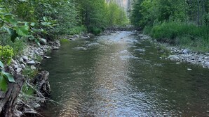 En flod der snor sig gennem en kløft med klippefyldte skrænter og frodig vegetation.