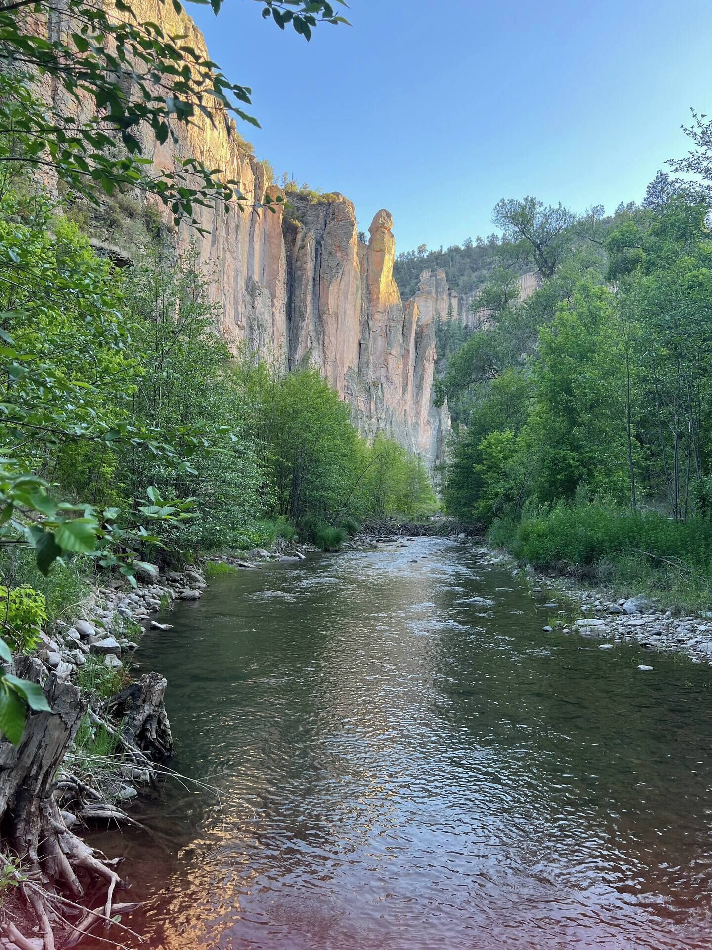 A river flowing through a canyon with rocky cliffs and dense greenery.