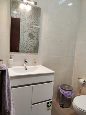 Dusche, Haartrockner, Bidet, Handtücher