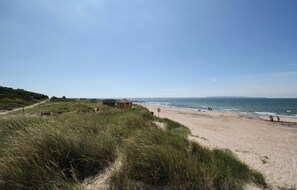 Nära stranden och fiske