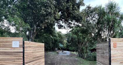 2-Bedroom/ 2-Bath Smart Container Home