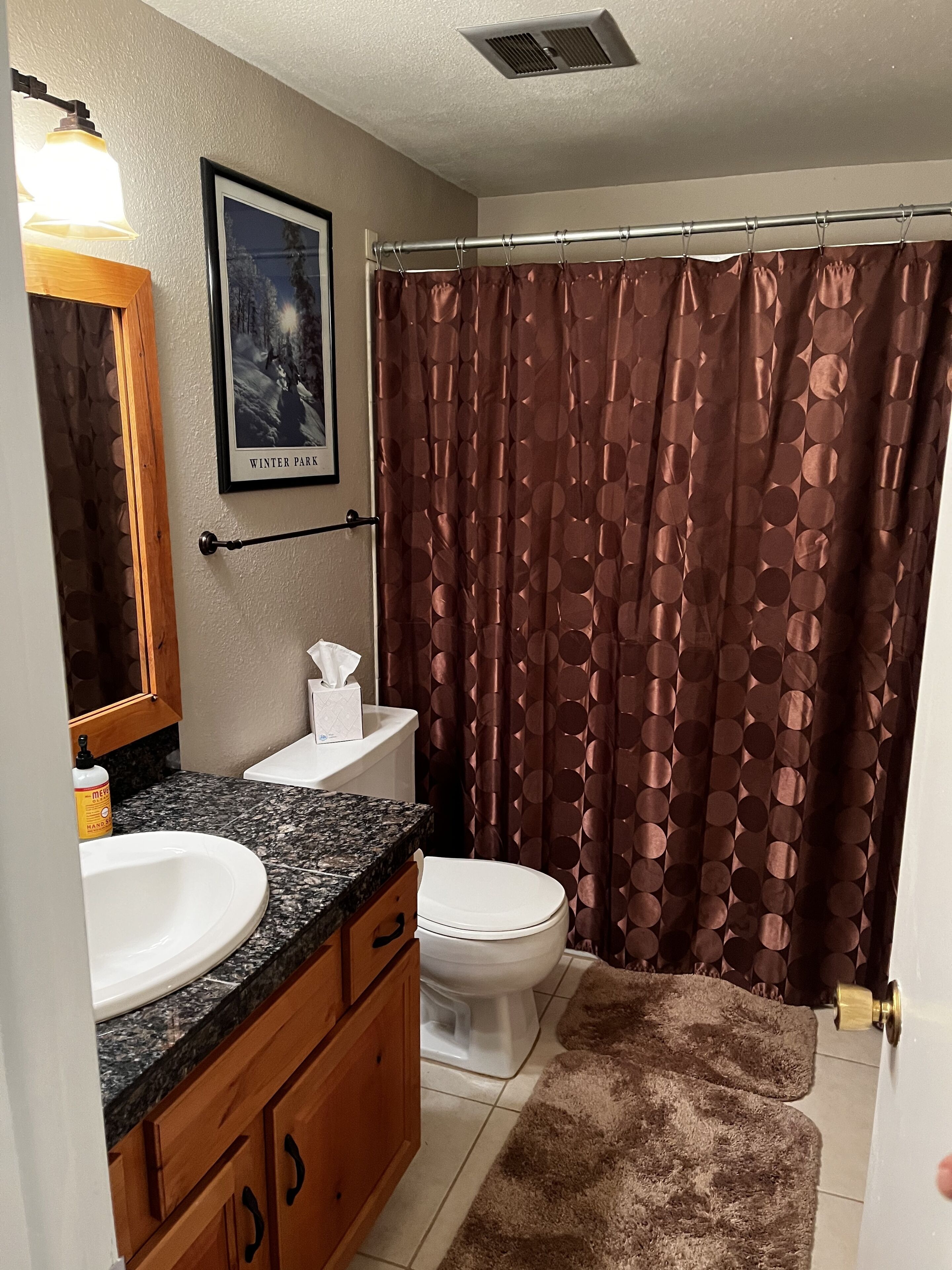 A bathroom with a granite countertop sink, a toilet, and a shower curtain.