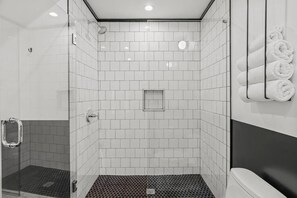 Combined shower/tub, hair dryer