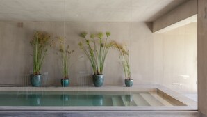 Uma área interna de piscina moderna com três plantas em vasos sobre um parapeito.