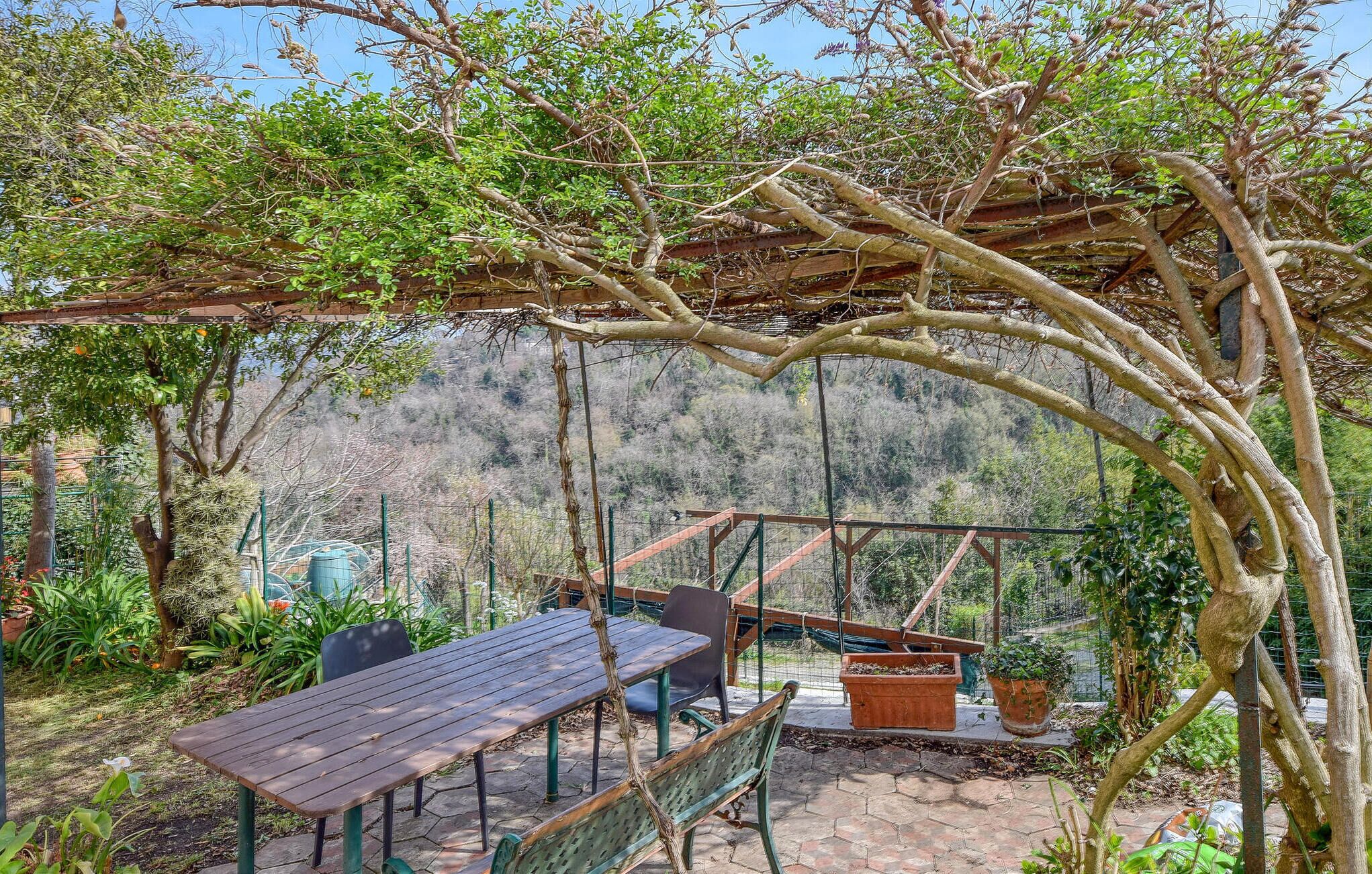 Eine Außenpatio mit Holztisch und -stühlen, umgeben von viel Grün und einer Pergola.