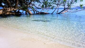 Private beach, beach towels, snorkelling, kayaking