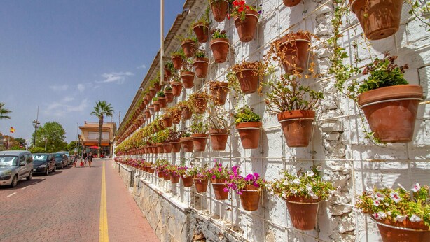 Un edificio con una fila di vasi in terracotta sospesi, pieni di piante e fiori diversi.