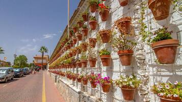 Jardines del alojamiento