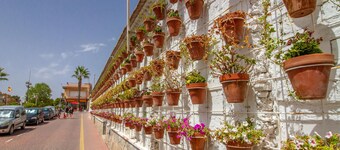 2 bedroom awesome home in Los Alcázares