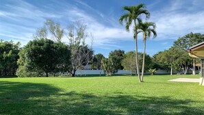 Un espacio al aire libre con césped, árboles y un edificio al fondo.