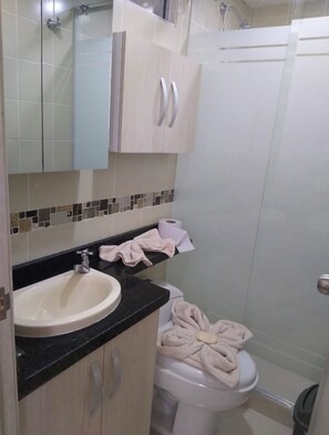Shower, hair dryer, towels, toilet paper