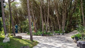 Ein gepflasterter Gartenweg, umgeben von hohen Bäumen und Kübelpflanzen.