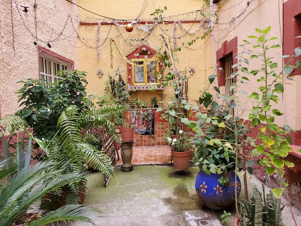 Surrounded by lush greenery, this charming courtyard offers a peaceful retreat with a small structure and decorative accents.
