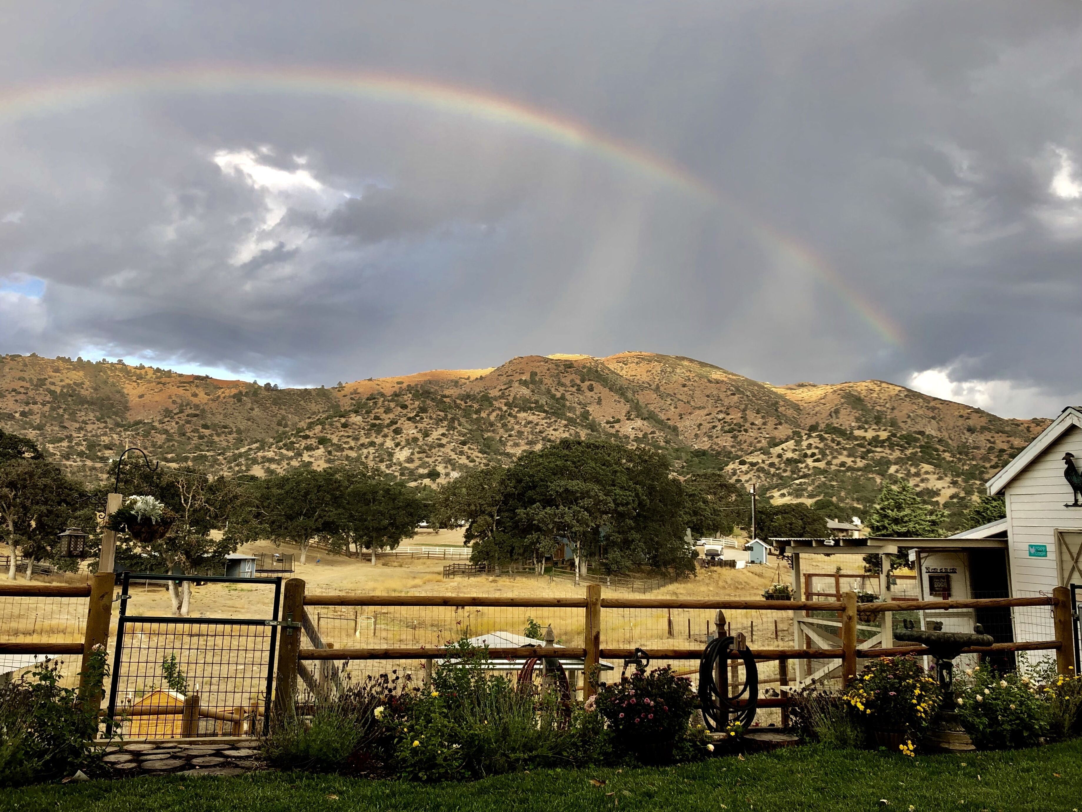 Un paysage rural avec un arc-en-ciel, une clôture en bois et un bâtiment sur lequel est perché un oiseau.