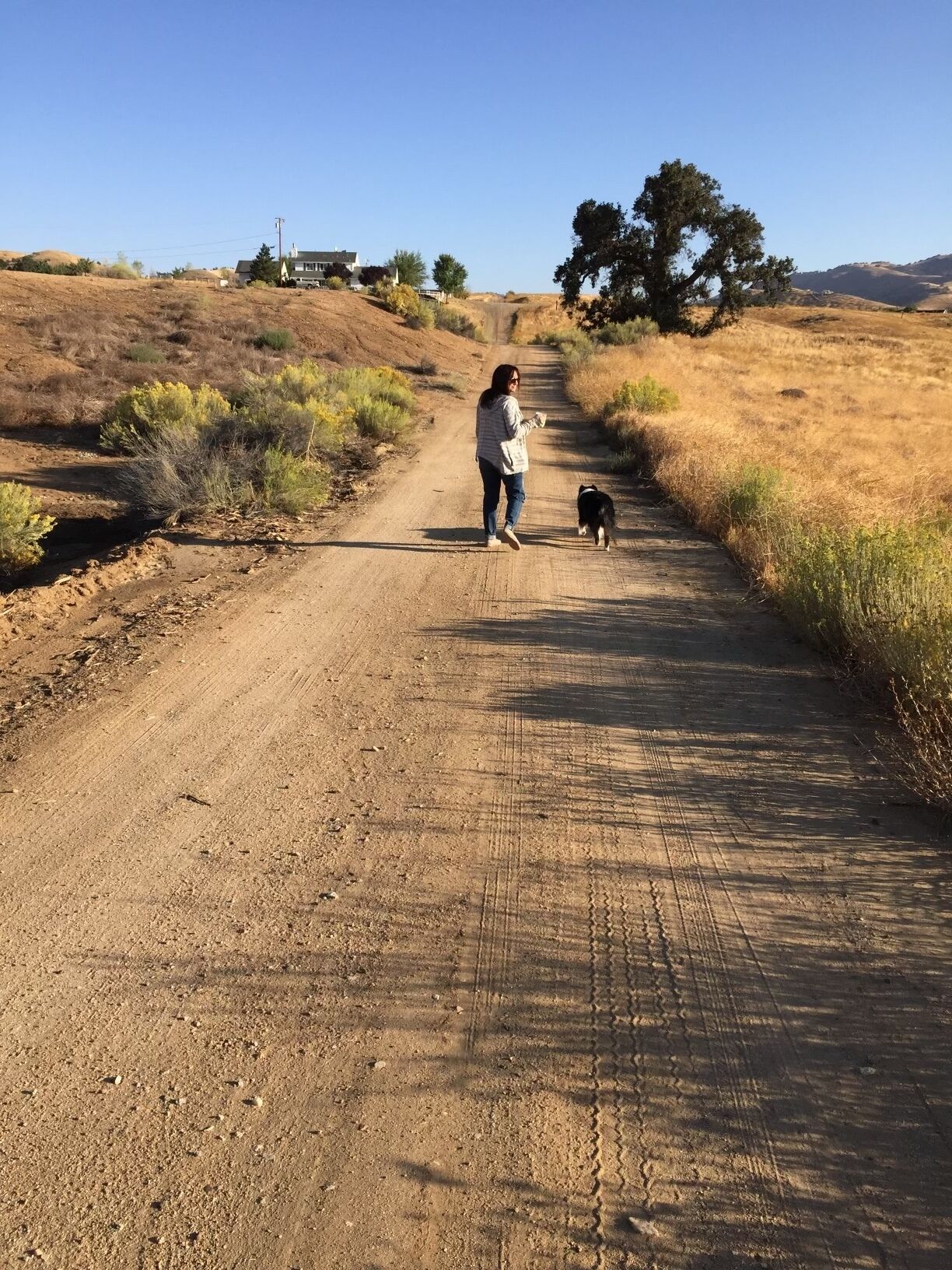 A dirt road with a person and a dog walking away from the viewer.