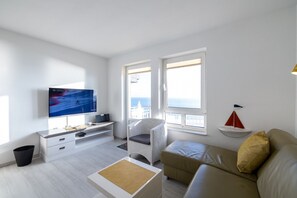 电视、DVD 播放器、立体声音响