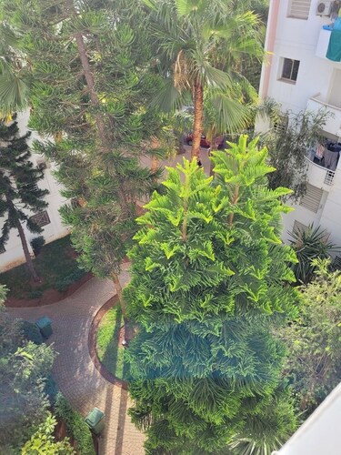 Beautiful traditional apartment in Hay nassim Sidi Maarouf
