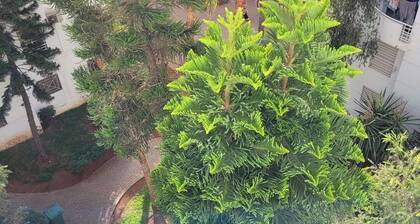 Beautiful traditional apartment in Hay nassim Sidi Maarouf