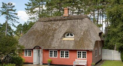 Amazing home in Rømø with kitchen