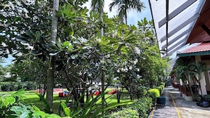 Un exuberante jardín con palmeras y diversas plantas tropicales.