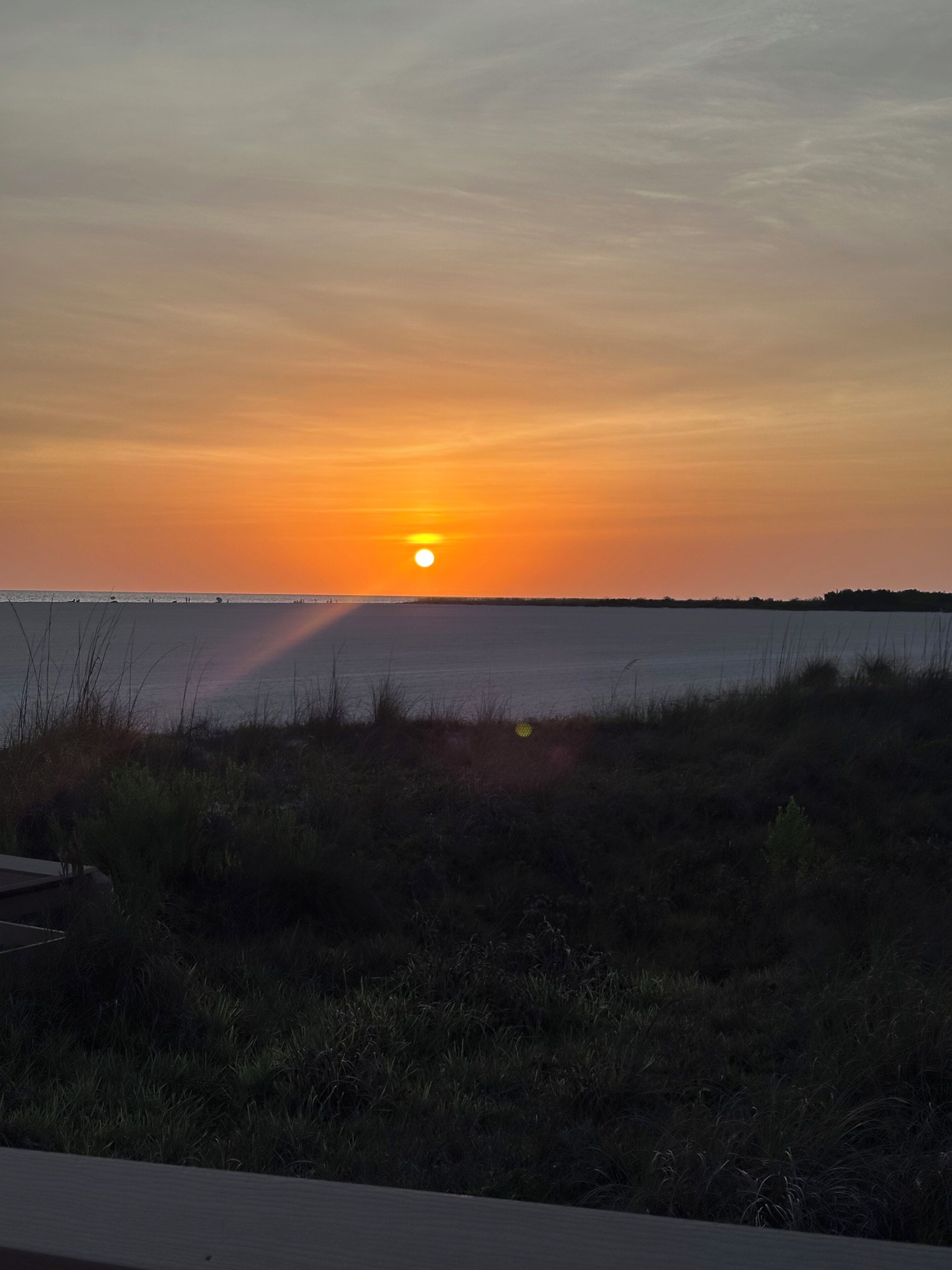 A sunset over a body of water with a grassy foreground and a distant shoreline.