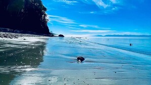 A beach with clear skies, calm waters, and a sandy shore. - Points West Oceanfront Resort 1 Bed Ocean Point Suite B (Sooke)