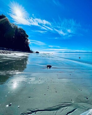Nær stranden og solsenger