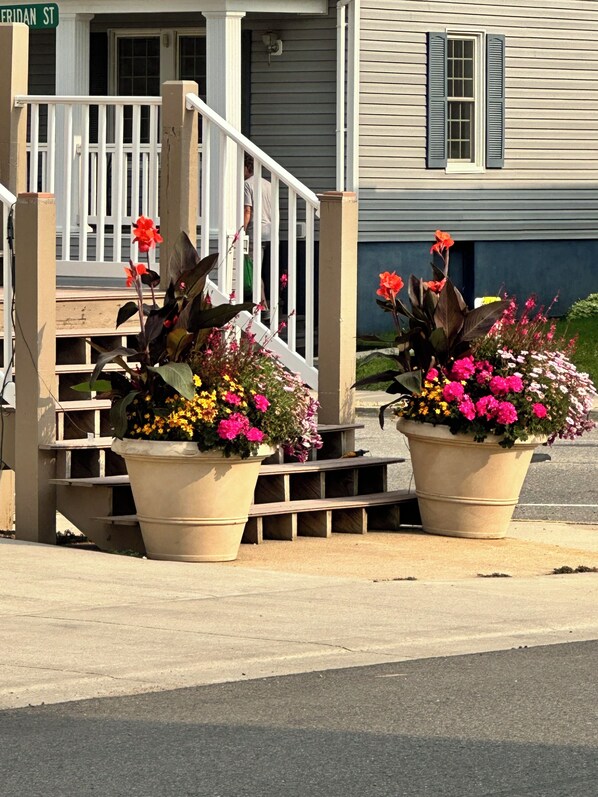 Exterior - Canoe On Inn  (Ely)