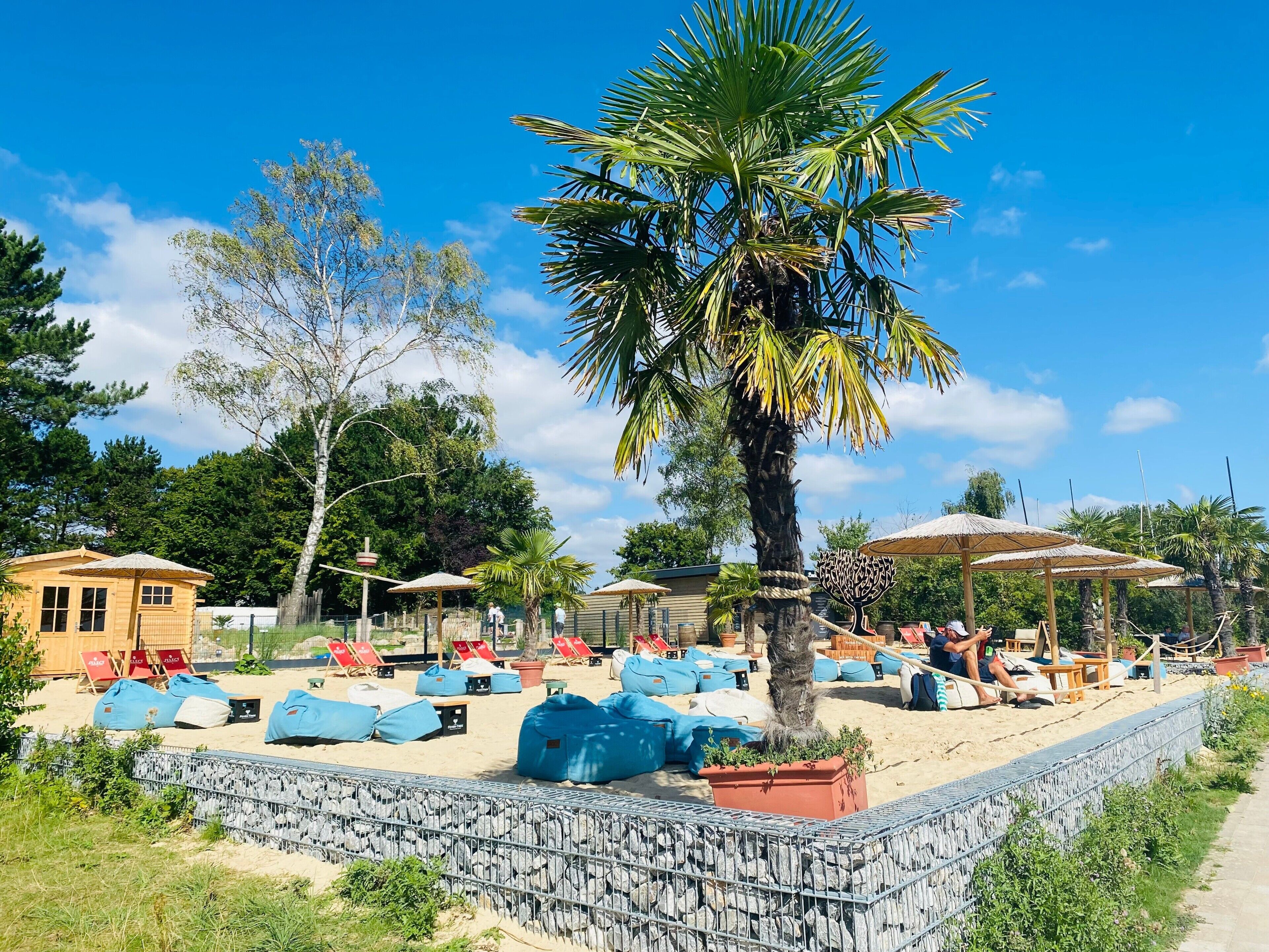 A beach area with lounge chairs, a palm tree, and a small building.