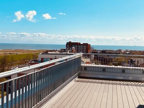 Terrain de l’hébergement 