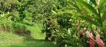 Ti Cannelle - Apartment Creole 6P by Alianskaraib