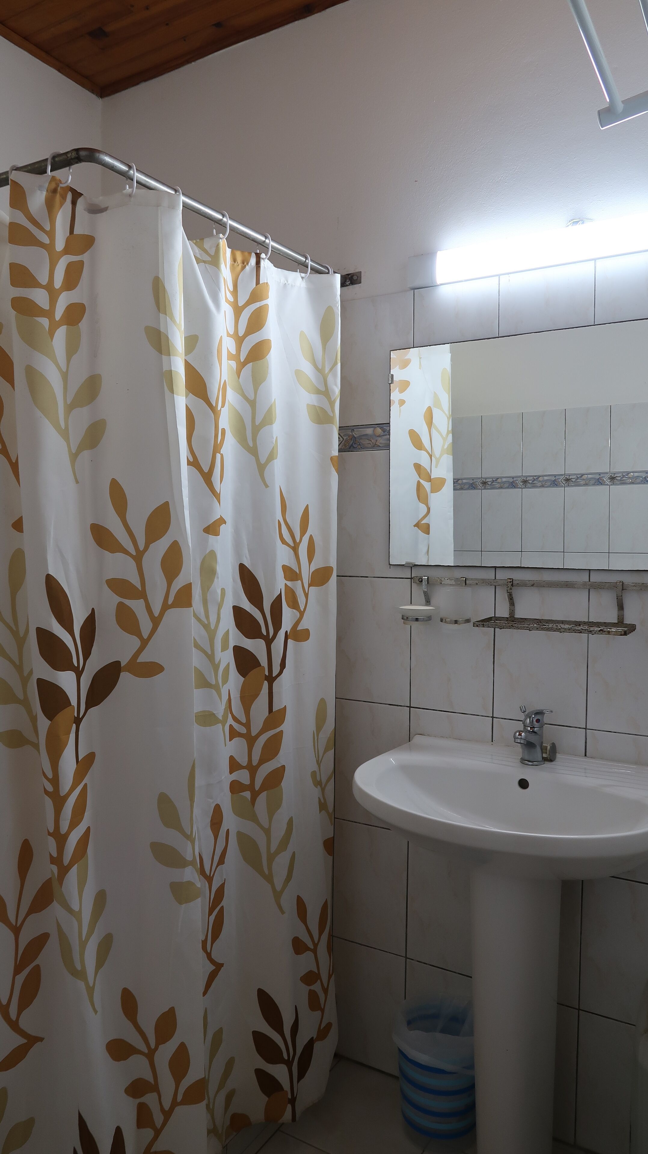 シャワー、タオル、石鹸、トイレットペーパー