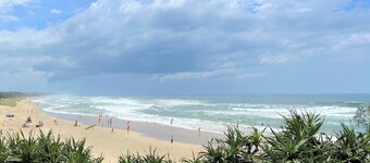 Modern pet friendly beach home