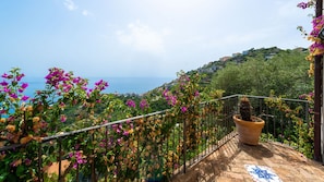 Enjoy breathtaking views of the sea and hillside town from this balcony, surrounded by lush flowering plants and a potted cactus.